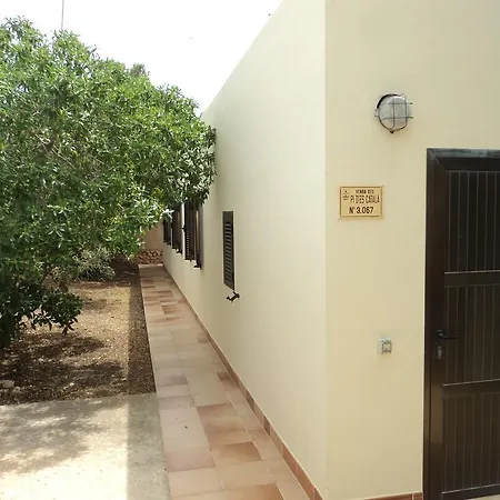 Can Nigg Playa Migjorn Exterior photo